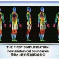 【学术动态】意大利FM筋膜手法课程培训重磅来袭